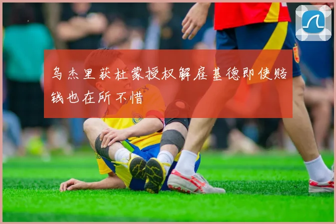乌杰里获杜蒙授权解雇基德即使赔钱也在所不惜