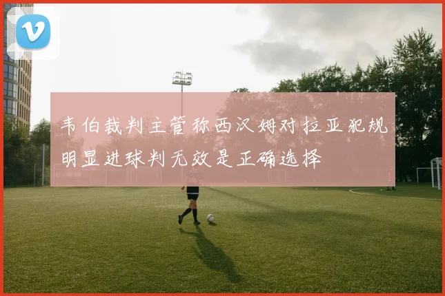 韦伯裁判主管称西汉姆对拉亚犯规明显进球判无效是正确选择